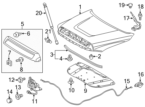 2018 Toyota Tundra Hood & Components Diagram
