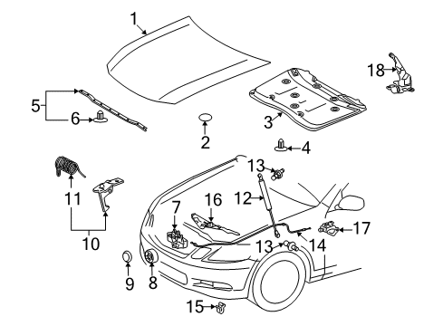 Spring, Torsion(For Hood Lock Hook) Diagram for 90508-18120