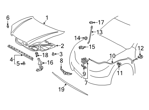 2007 Toyota Corolla Hood & Components, Exterior Trim Diagram