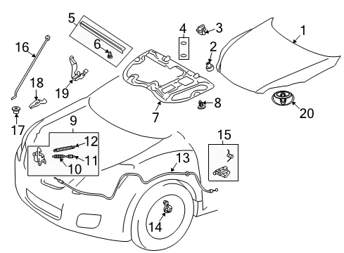 2012 Toyota Matrix Hood & Components, Exterior Trim Diagram