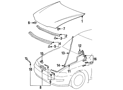 1993 Toyota Corolla Hood & Components Diagram