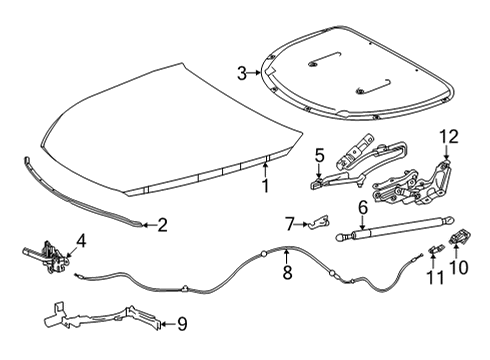 2022 Toyota Mirai Hood & Components Diagram