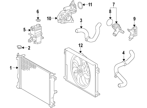 2021 Toyota RAV4 Cooling System, Radiator, Water Pump, Cooling Fan Diagram