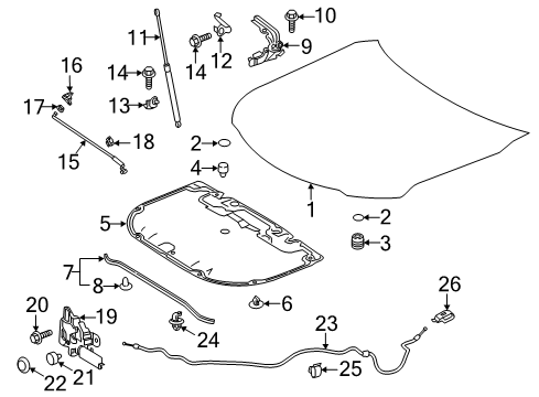 2022 Toyota Camry Hood & Components Diagram