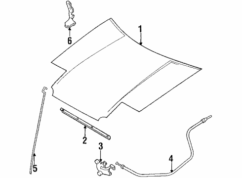 1989 Toyota Corolla Hood & Components Diagram