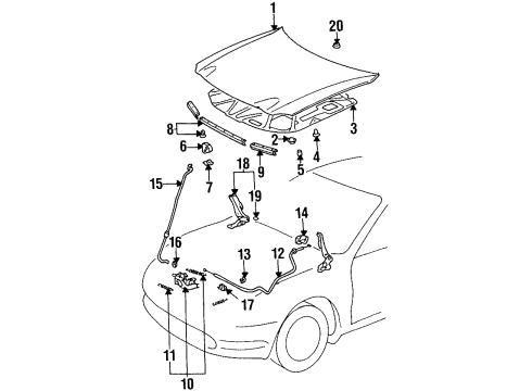 1998 Toyota Celica Hood & Components Diagram