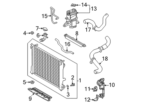 Hose, Radiator Diagram for 16571-25070
