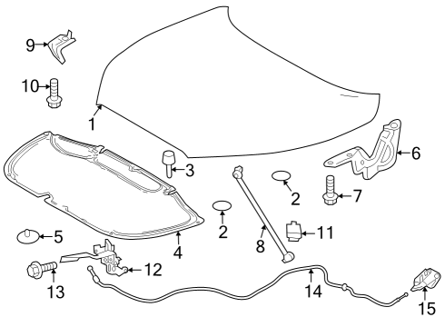 2022 Toyota Corolla Cross Hood & Components Diagram