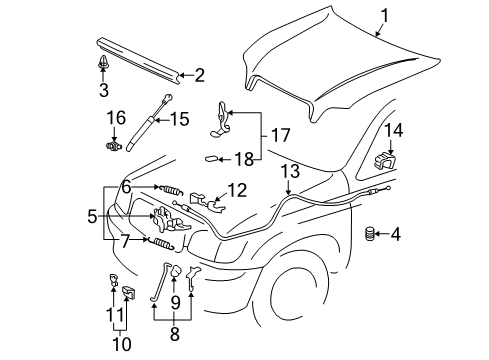 2005 Toyota Sequoia Hood & Components Diagram