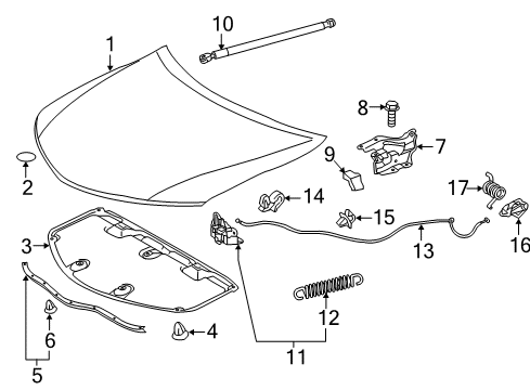 2013 Toyota Camry Hood & Components Diagram