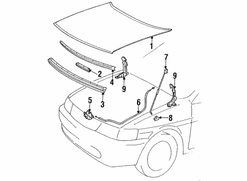 1993 Toyota Tercel Hood & Components Diagram