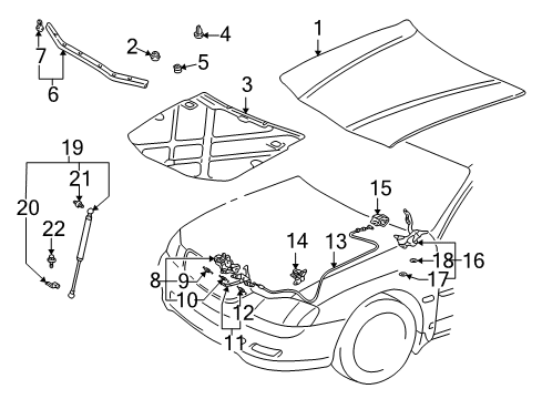 2004 Toyota Avalon Hood & Components Diagram