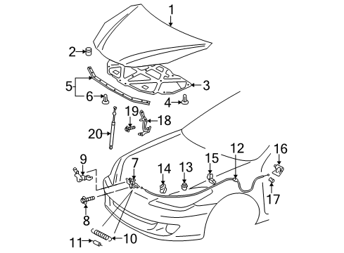 2004 Toyota Solara Hood & Components Diagram