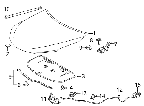 2016 Toyota Camry Hood & Components Diagram