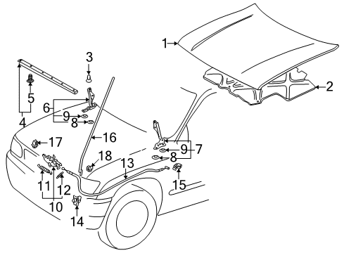 1998 Toyota Tacoma Hood & Components Diagram