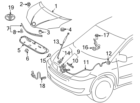 2020 Toyota Sienna Hood & Components Diagram