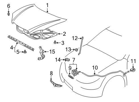 2004 Toyota Matrix Hood & Components Diagram