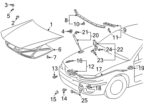 2000 Toyota Solara Hood & Components Diagram