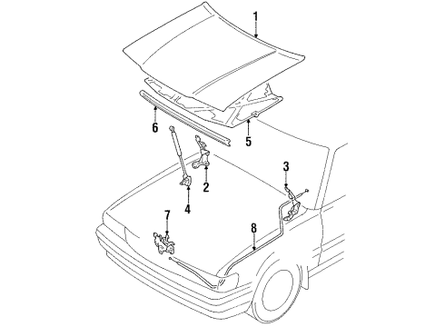 1991 Toyota Cressida Hood & Components Diagram