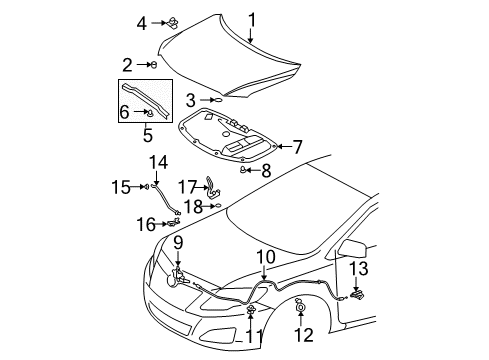 2013 Toyota Corolla Hood & Components Diagram