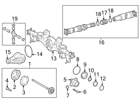 2024 Toyota Sequoia Axle & Differential - Rear Diagram