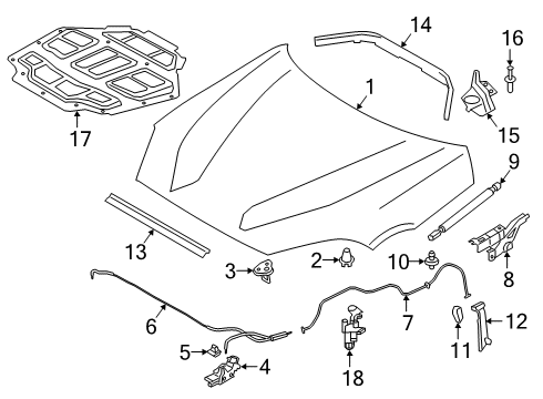 2024 Toyota GR Supra Hood & Components Diagram