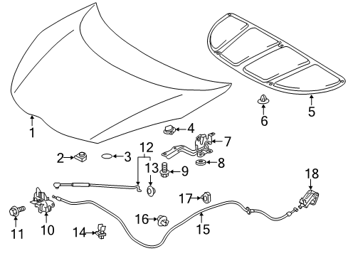 2012 Toyota Prius C Hood & Components Diagram