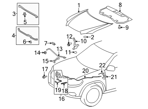 2012 Toyota Highlander Hood & Components Diagram