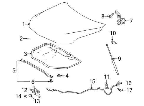 2020 Toyota Avalon Hood & Components Diagram