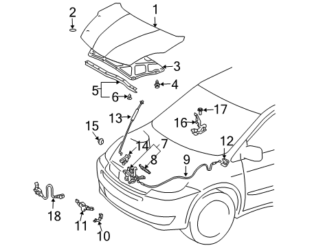 2004 Toyota Sienna Hood & Components Diagram