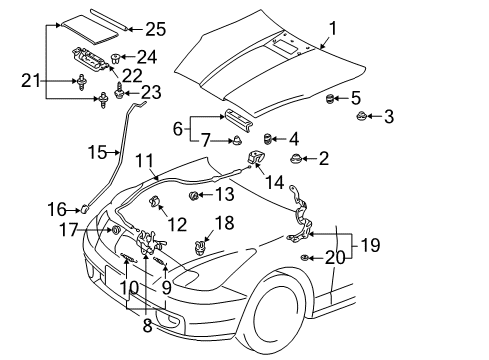 2004 Toyota Celica Hood & Components, Exterior Trim Diagram