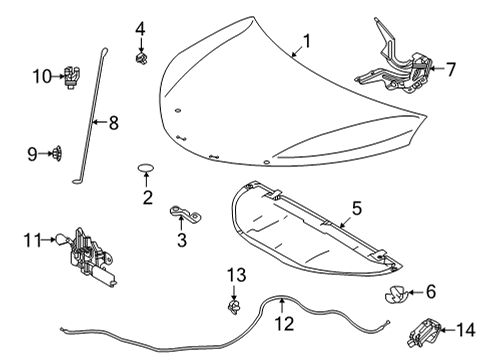 2022 Toyota Sienna Hood & Components Diagram