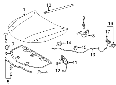 2017 Toyota Avalon Hood & Components Diagram