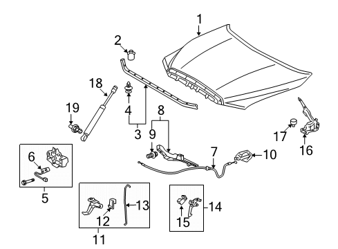 2013 Toyota Tundra Hood & Components Diagram