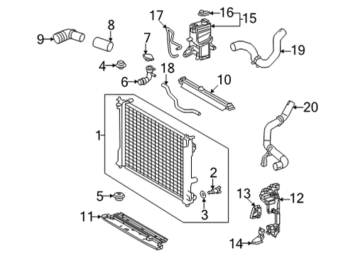 Support, Radiator, Lower Diagram for 16535-28030
