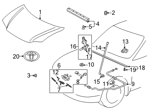 2004 Toyota Echo Hood & Components Diagram