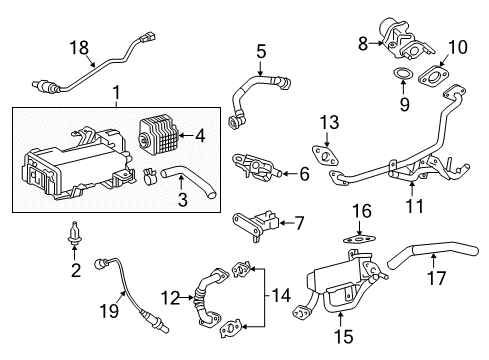 Hose, Fuel Emission Diagram for 77249-78010