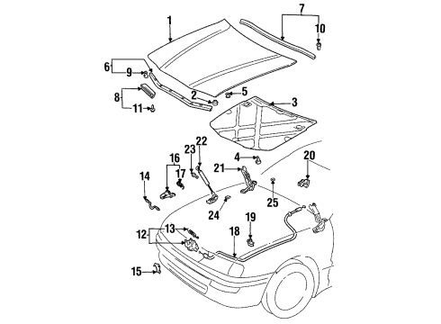 1999 Toyota Avalon Hood & Components Diagram