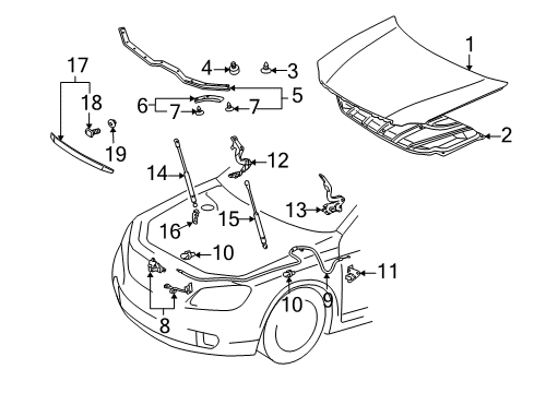 2005 Toyota Avalon Hood & Components Diagram