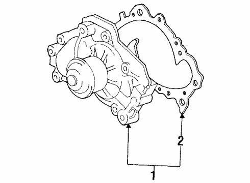 1999 Toyota Avalon Water Pump Diagram