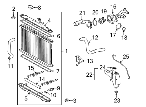Nut, Flare(For ATM Oil Cooler) Diagram for 16495-31550