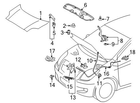 2009 Toyota Yaris Hood & Components Diagram