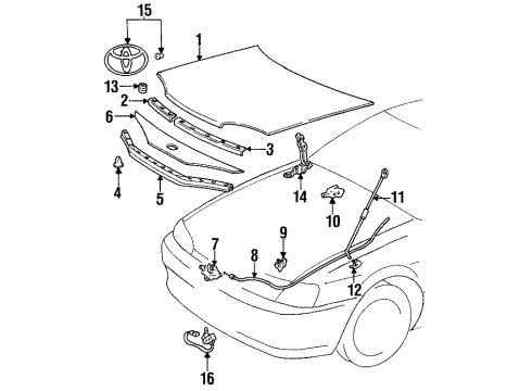 1995 Toyota Paseo Hood & Components Diagram