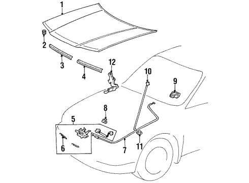 1998 Toyota Tercel Hood & Components Diagram
