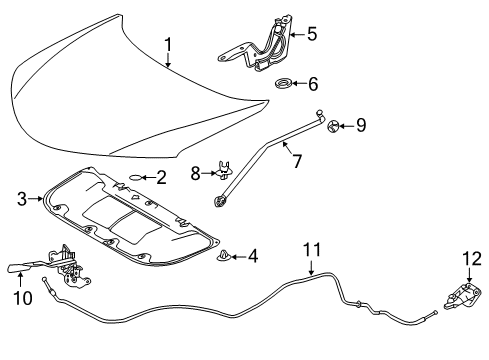 2015 Toyota RAV4 Hood & Components Diagram