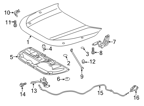 2023 Toyota RAV4 Prime Hood & Components Diagram