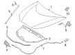 Toyota Mirai Hood Hinge Diagram - 53420-62020