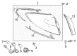 Toyota C-HR Light Socket Diagram - 81555-F4020