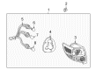 Toyota Matrix Light Socket Diagram - 81555-02210
