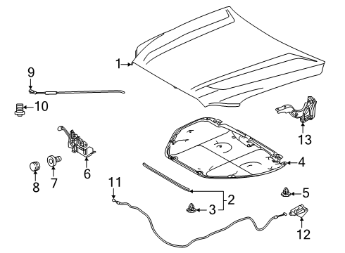 2025 Toyota 4Runner Hood & Components Diagram